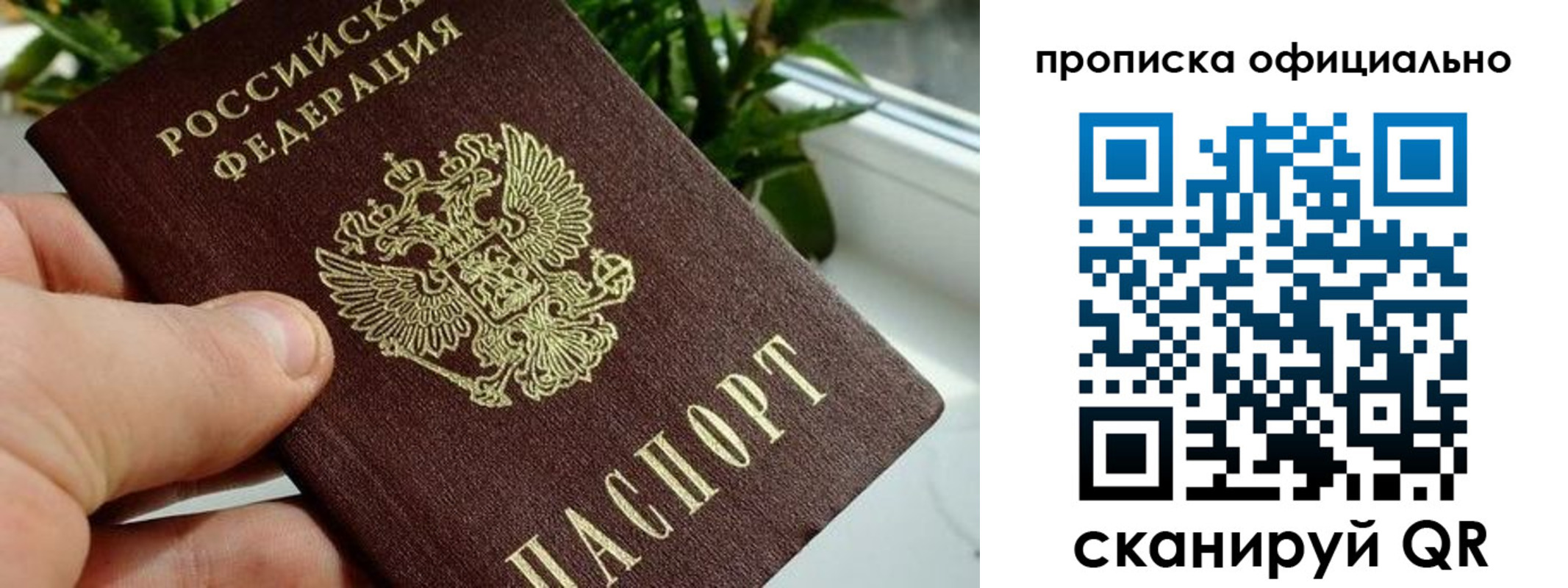 прописка поиск в Шахунье